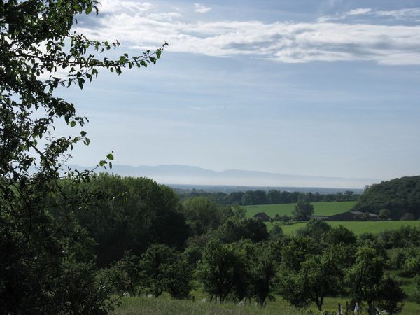 Le belvédère